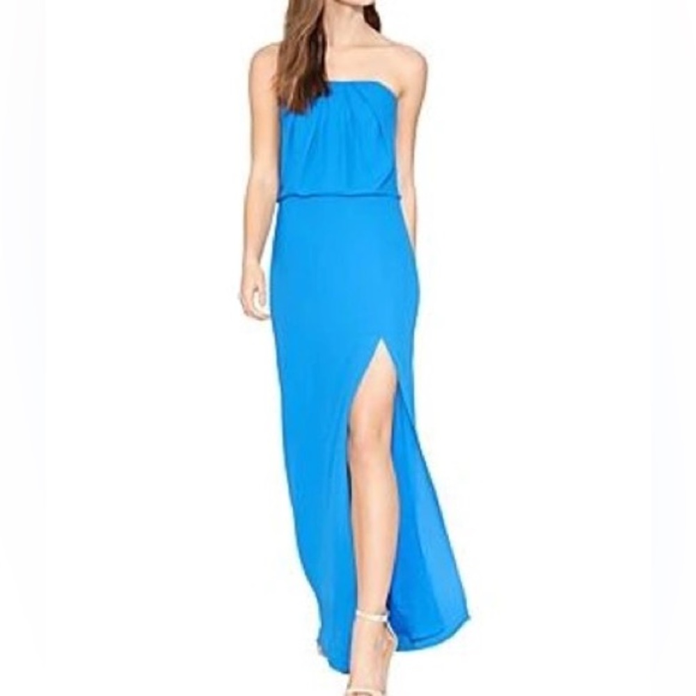 Halston Heritage Gown sz 2